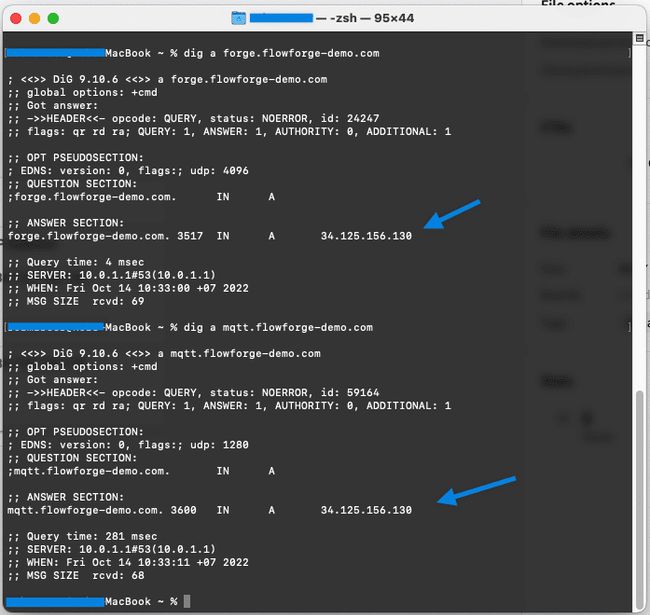 Screenshot showing output of the dig command Screenshot showing output of the dig command