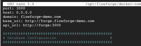 Screenshot showing domain configuration in flowforge.yml "Screenshot showing domain configuration in flowforge.yml"