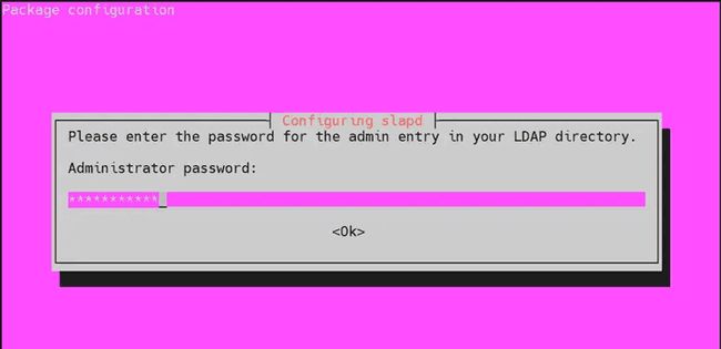 Screenshot of prompt asking to set the administrator password "Screenshot of prompt asking to set the administrator password while installation"