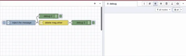 Deleting data from msg.other