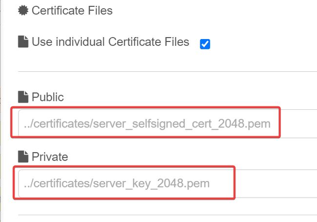 individual-cert-file-option.png