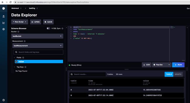 Screenshot showing the InfluxDB Explorer "Screenshot showing the InfluxDB Explorer"