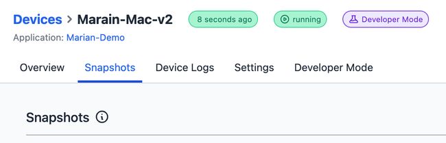 Menu Snapshots for Devices