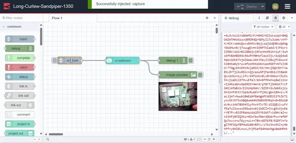 "capturing images by passing payload"
