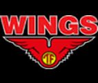 Wings logo